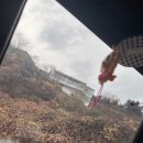 노스토스 | [가평 노스도트] 독채펜션 4가족 다녀왔어요:) 아기랑 다녀온 후기!