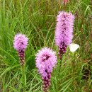 뚝섬한강공원-29 이미지