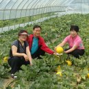 철수 농장 이미지