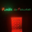 천안 강아지분양 고양이분양 파밀리에드마스코타 신불당본점 이미지