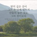 짐승의 표 환난과 666 이미지
