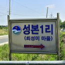 성본1리(최성미) 이미지
