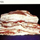 오닉스(ONYX) 이미지