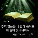 소풍이야기 이미지
