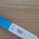 레몬산부인과의원 | 제주 산부인과 선택하기(임신 4주차 ~ 8주차 증상)