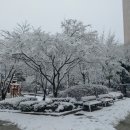 도장골어린이공원 이미지