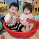 🎀표준보육과정(내물건을 잡아요) 이미지