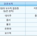 용비어천가 네이버블로그