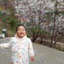 정원민박 이미지