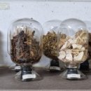 금구한의원 이미지