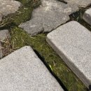 만천천길 강원도민일보