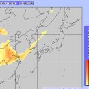 11월 20일 짤막단신 이미지