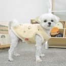 스누피 애견 이미지