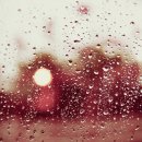 시엘로(cielo) 이미지