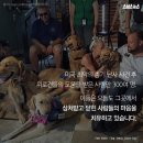 위로 이미지