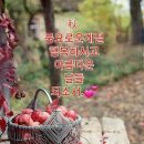 지혜로운 여자 이미지