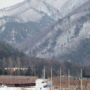 용대 자연농장 이미지