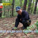 횡성농장 이미지