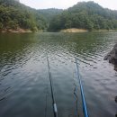 맹동낚시터 이미지