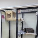 호텔이냥 이미지