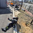 왈왈스쿨 이미지