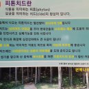 토종흑염소농장 이미지