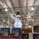 코스코약국 이미지