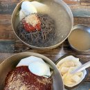 하얀집진주냉면 | 진주 진성면 냉면집 칡냉면 후기[서박사냉면]