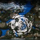 오룡시장 이미지