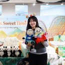 에버스토리 이미지