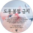 까까멍냥 이미지