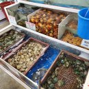 해삼수산 이미지