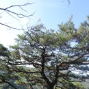 씨유논산취암타운점 | 백암산(육백고지) 등산 후기(2025. 10. 22.)