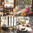 위디위키 이미지