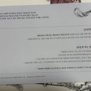 딥포레 이미지