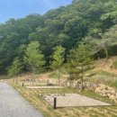 버드오토캠핑장 이미지