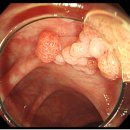 박내과의원 이미지