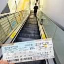 서부동공원 | 달그락 투어 ㅣ🌙 안동 야경 투어 솔직 후기(찜닭골목, 음악분수, 월영교까지)