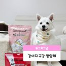 도그비잉 펫케어 | 강아지 구강관리 루틴 추천 도그시그널 덴탈 베이직 덴탈 플러스 후기🦷🐶