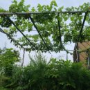 신사1동 주민센터 이미지