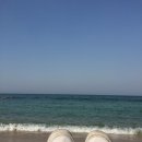 강릉 · 속초 1박 2일 여행 ｜안목해변, 대포항, 대관령삼양목장