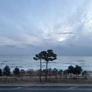 양양양양 펜션 | 양양 가성비 오션뷰 에이트 호텔 펜션 내돈내산 후기