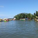 코코넛19 이미지