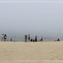 시장짬뽕 이미지