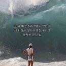 유라양꼬치 | 연말결산 2024