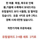 유럽샐러드 이미지