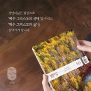 갈라디아서 6:1 – 6:10 사랑으로 완성하는 그리스도의 법 / 빛과소금(이미지) 이미지