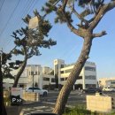 서울연구원 1층 화장실 | 부산 기장 대형카페 더 우산 추천 및 후기