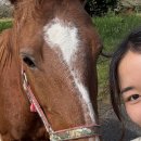 제주한우리 | 애정하는 동기쌤들과(쫄븐 갑마장길-맛집-사려니숲-맛집-맛집-노래방)