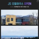 해안초 이미지